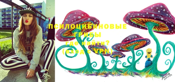 MDMA Белокуриха