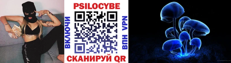 Псилоцибиновые грибы Magic Shrooms  где купить наркотик  Бородино 