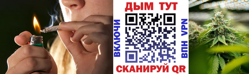 Шишки марихуана ГИДРОПОН  mega зеркало  Бородино  сколько стоит 